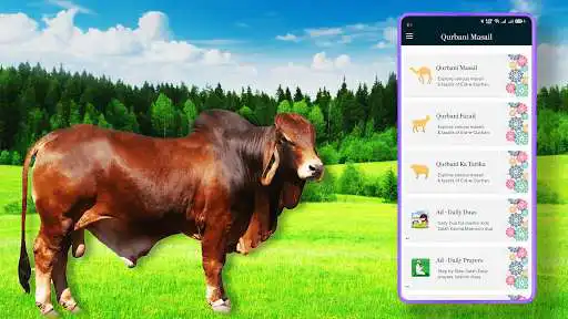 Play Qurbani Ke Masail & Fazail Eid ul Adha: Bakra Eid  and enjoy Qurbani Ke Masail & Fazail Eid ul Adha: Bakra Eid with UptoPlay