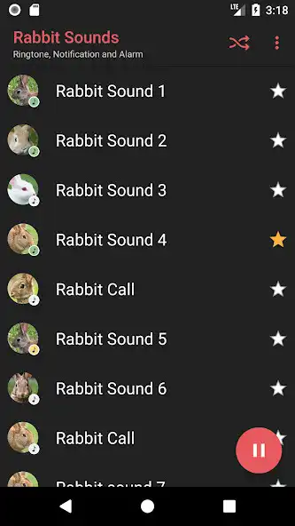 Play Rabbit and Bunny Sounds
