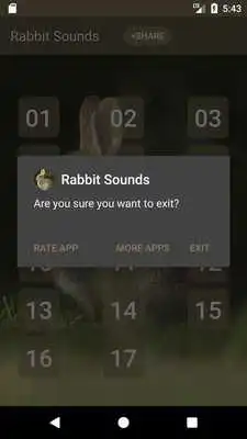 Play Rabbit and Bunny Sounds
