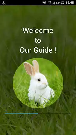 Play Rabbit breeding