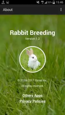 Play Rabbit breeding