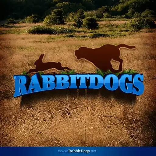 Play Rabbit Dogs APK
