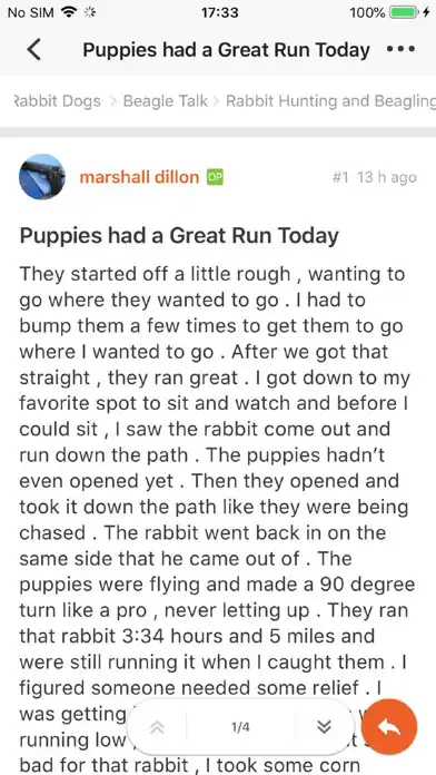 Play Rabbit Dogs  and enjoy Rabbit Dogs with UptoPlay