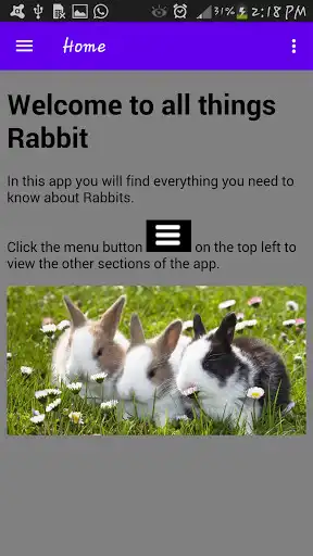 Play Rabbit farming , Rabbit meat recipes  and enjoy Rabbit farming , Rabbit meat recipes with UptoPlay