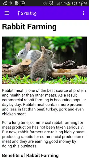 Play Rabbit farming , Rabbit meat recipes as an online game Rabbit farming , Rabbit meat recipes with UptoPlay