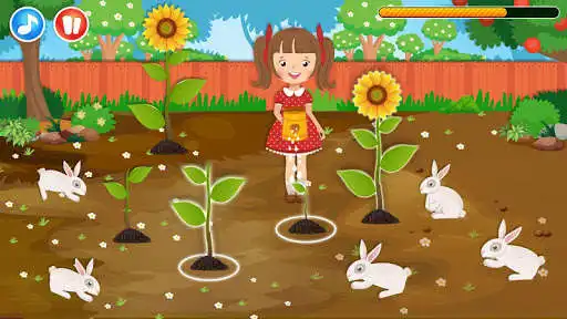 Play Rabbit  Flower
