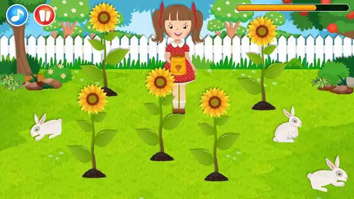Play Rabbit  Flower