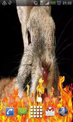 Play Rabbit Funny Live Wallpaper