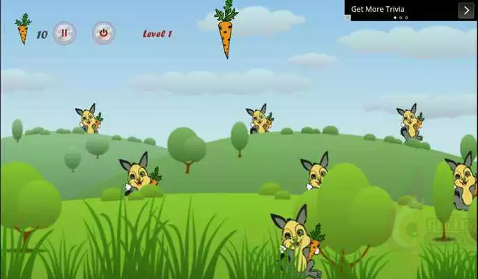 Play Rabbit Hit Pro