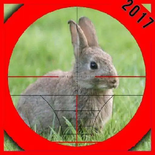 Free play online Rabbit Hunting 2  APK
