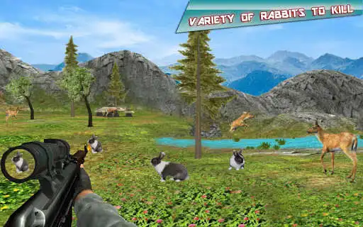 Play Rabbit Hunting Challenge  and enjoy Rabbit Hunting Challenge with UptoPlay