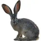Free play online Rabbit Hunting Simulator- rabbiting (hare hunting) (Unreleased) APK Free play online Rabbit Hunting Simulator- rabbiting (hare hunting) (Unreleased) APK