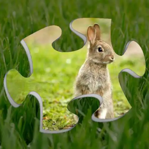 Play Rabbit Jigsaw Puzzles - Animal Jigsaws APK