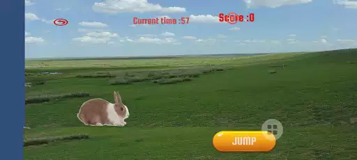 Play rabbit jumps  and enjoy rabbit jumps with UptoPlay