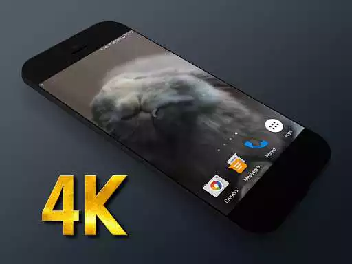 Play Rabbit Licks Your Screen LWP  and enjoy Rabbit Licks Your Screen LWP with UptoPlay