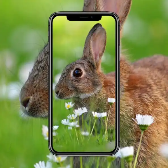 Play Rabbit Life Wallpaper and enjoy Rabbit Life Wallpaper with UptoPlay Play Rabbit Life Wallpaper and enjoy Rabbit Life Wallpaper with UptoPlay