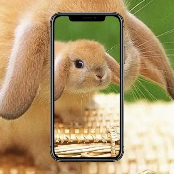 Play Rabbit Life Wallpaper as an online game online Rabbit Life Wallpaper with UptoPlay Play Rabbit Life Wallpaper as an online game Rabbit Life Wallpaper with UptoPlay