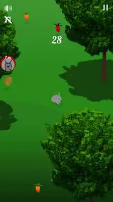 Play Rabbitly Play Rabbitly