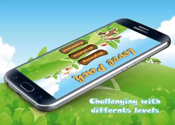 Play Rabbit Running Adventures