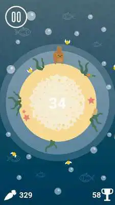 Play Rabbit Run: World