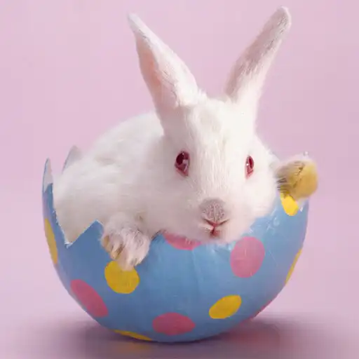 Play Rabbits Jigsaw Puzzles APK