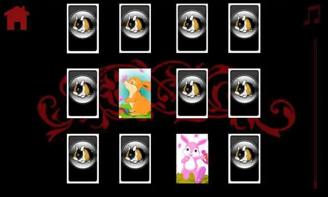 Play rabbits love kids Play rabbits love kids