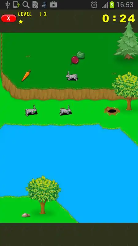 Play Rabbits. Memory and count