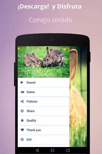 Play Rabbit Sounds  and enjoy Rabbit Sounds with UptoPlay