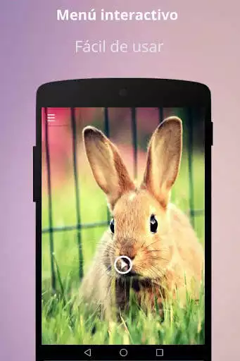 Play Rabbit Sounds as an online game Rabbit Sounds with UptoPlay