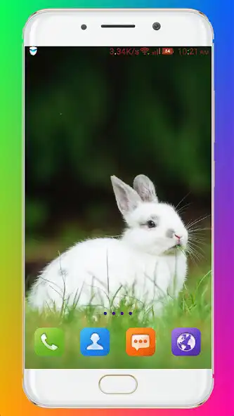 Play Rabbit Wallpaper HD as an online game online Rabbit Wallpaper HD with UptoPlay Play Rabbit Wallpaper HD as an online game Rabbit Wallpaper HD with UptoPlay