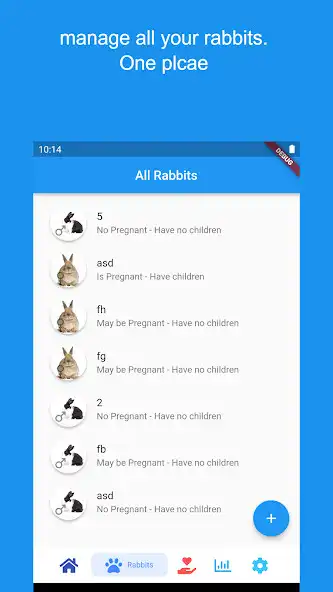 Play Rabbity :Rabbit Management  and enjoy Rabbity :Rabbit Management with UptoPlay