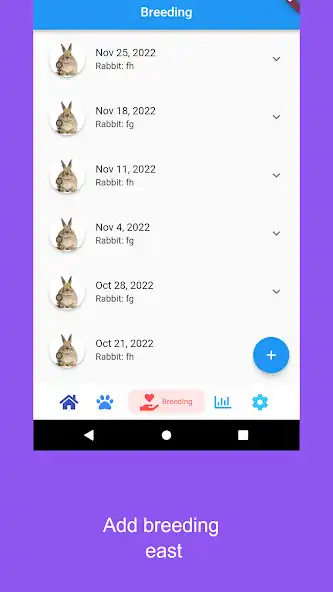 Play Rabbity :Rabbit Management as an online game Rabbity :Rabbit Management with UptoPlay
