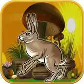 Free play online Rabit On The Run APK