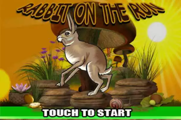Play Rabit On The Run