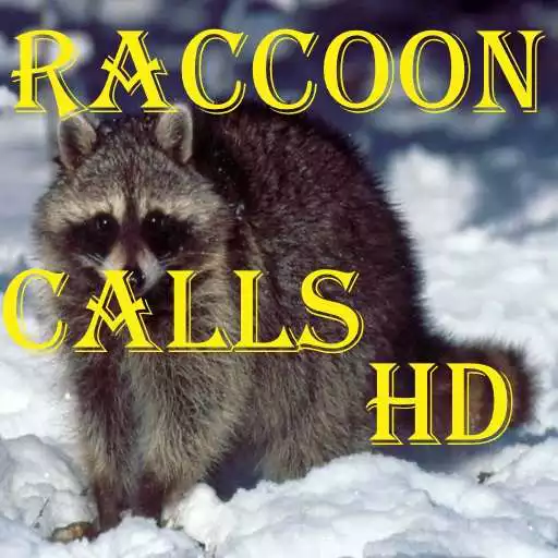 Free play online Raccoon Calls HD APK Free play online Raccoon Calls HD APK