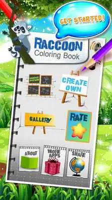 Play Raccoon Coloring Book