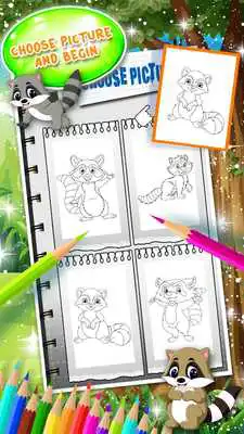 Play Raccoon Coloring Book