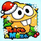 Free play online Race a Maze APK