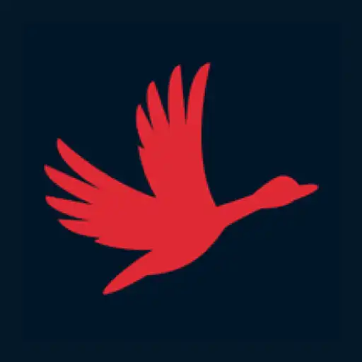 Play Raceduck Live APK