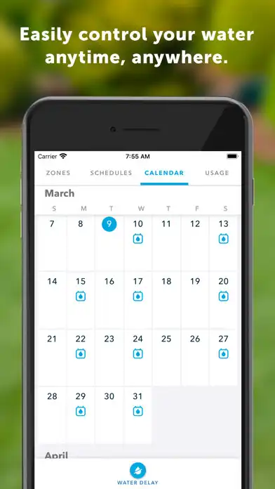 Play Rachio as an online game Rachio with UptoPlay