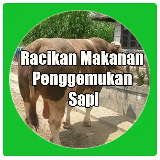Play Racikan Makanan Penggemukan Sapi APK Play Racikan Makanan Penggemukan Sapi APK