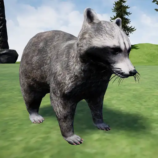Play Racoon Runner Simulator APK Play Racoon Runner Simulator APK