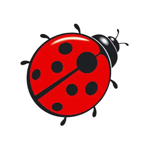 Play Radio Bubamara APK