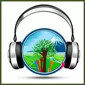 Free play online Radio Despierta APK