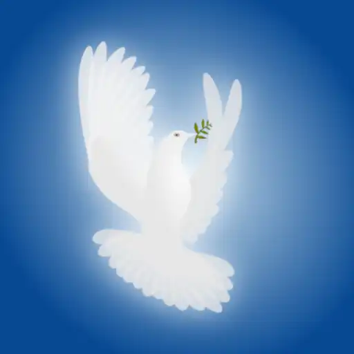 Play Radio Evangelica.CL APK Play Radio Evangelica.CL APK