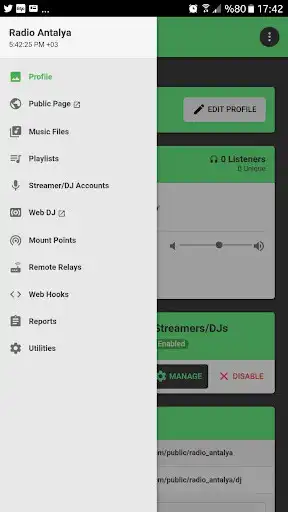 Play Radiolize - Create Your Own Online Radio Station as an online game Radiolize - Create Your Own Online Radio Station with UptoPlay