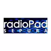 Free play online radioPad SEPURA APK