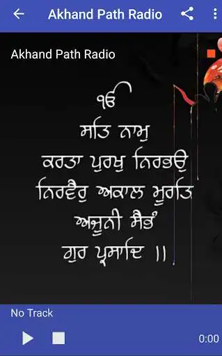 Play Radio Punjabi