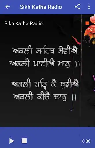 Play Radio Punjabi