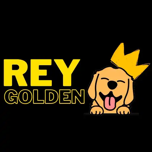 Play Radio Rey Golden APK Play Radio Rey Golden APK